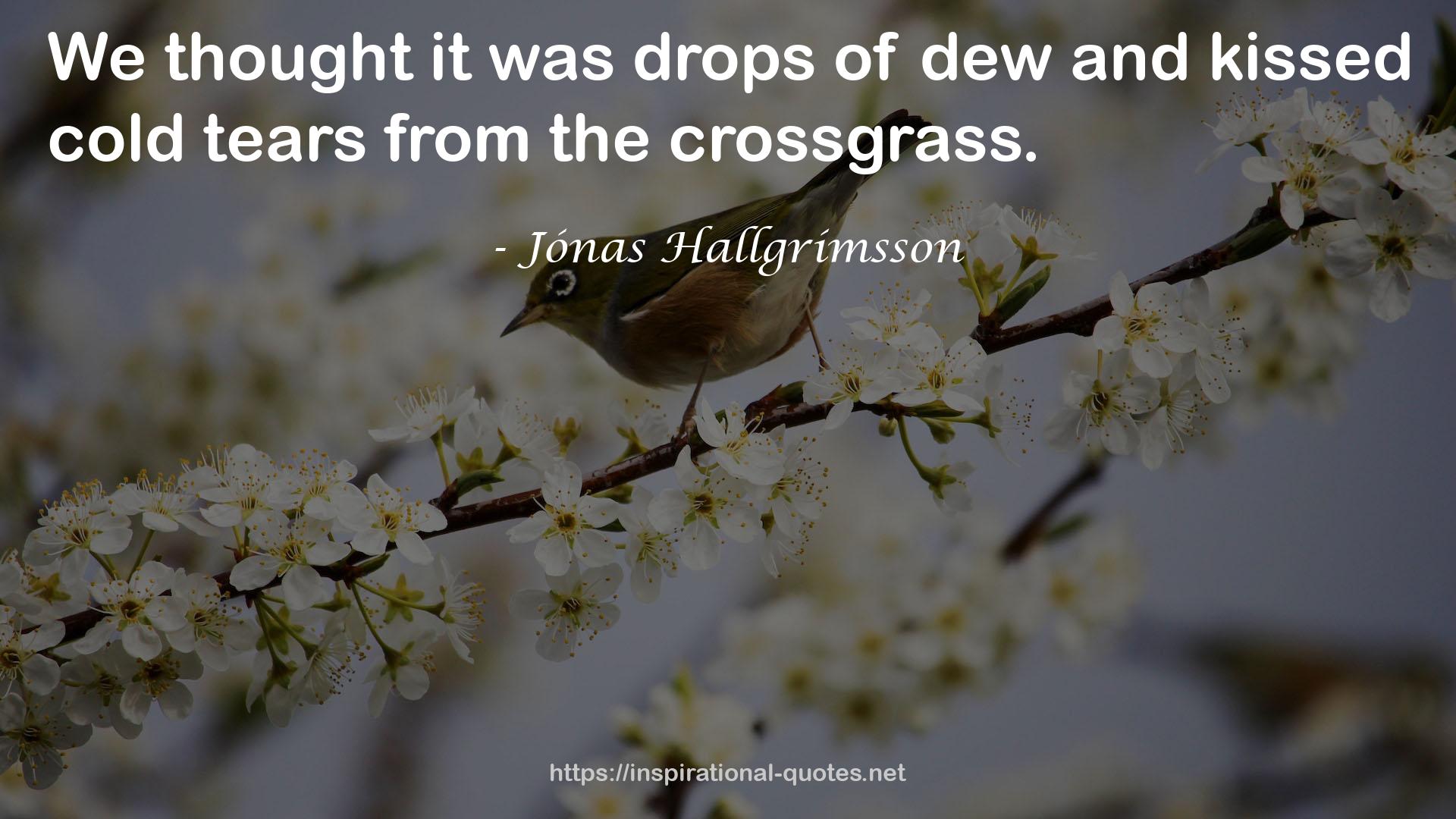 Jónas Hallgrímsson QUOTES