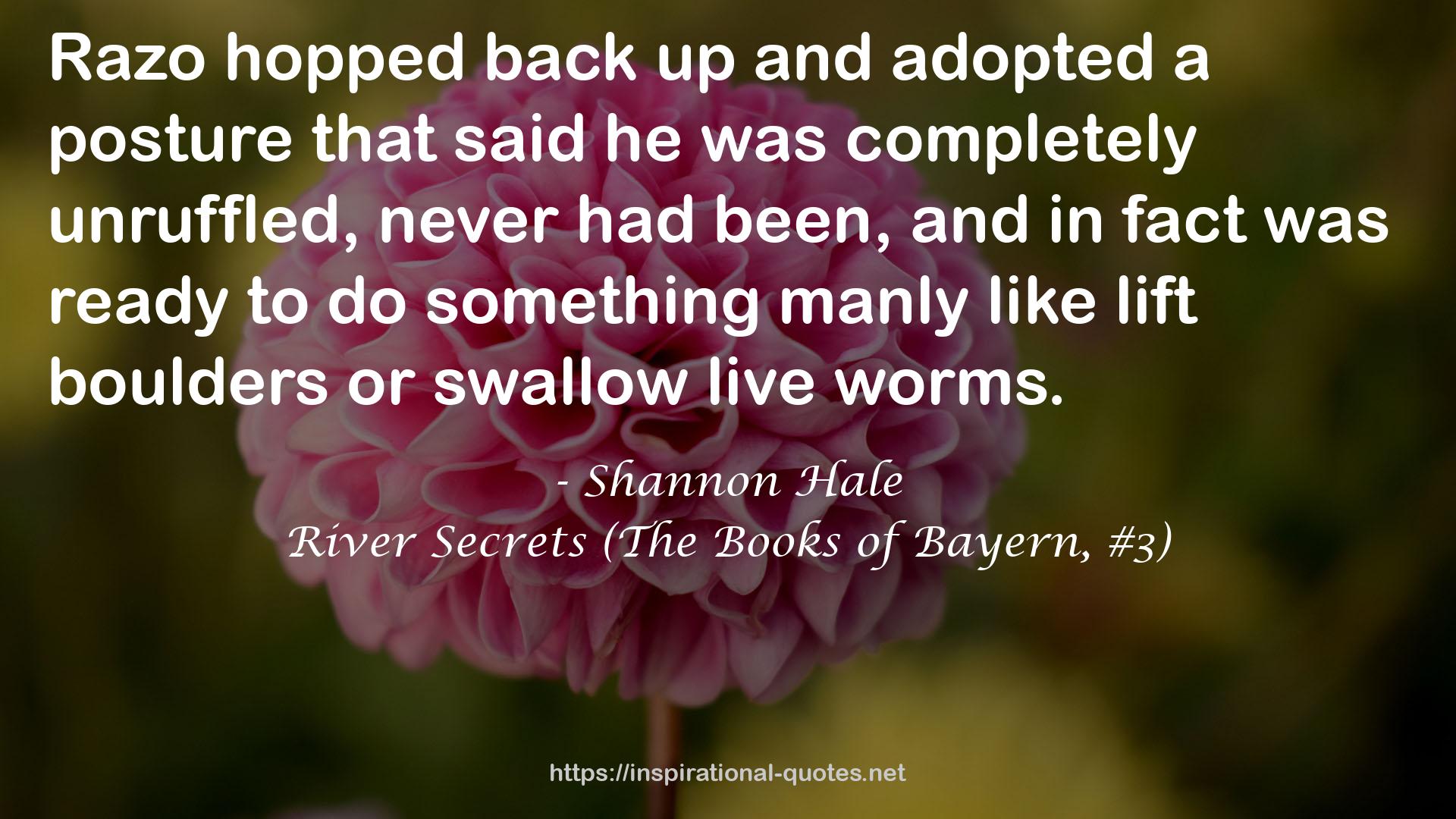 River Secrets (The Books of Bayern, #3) QUOTES
