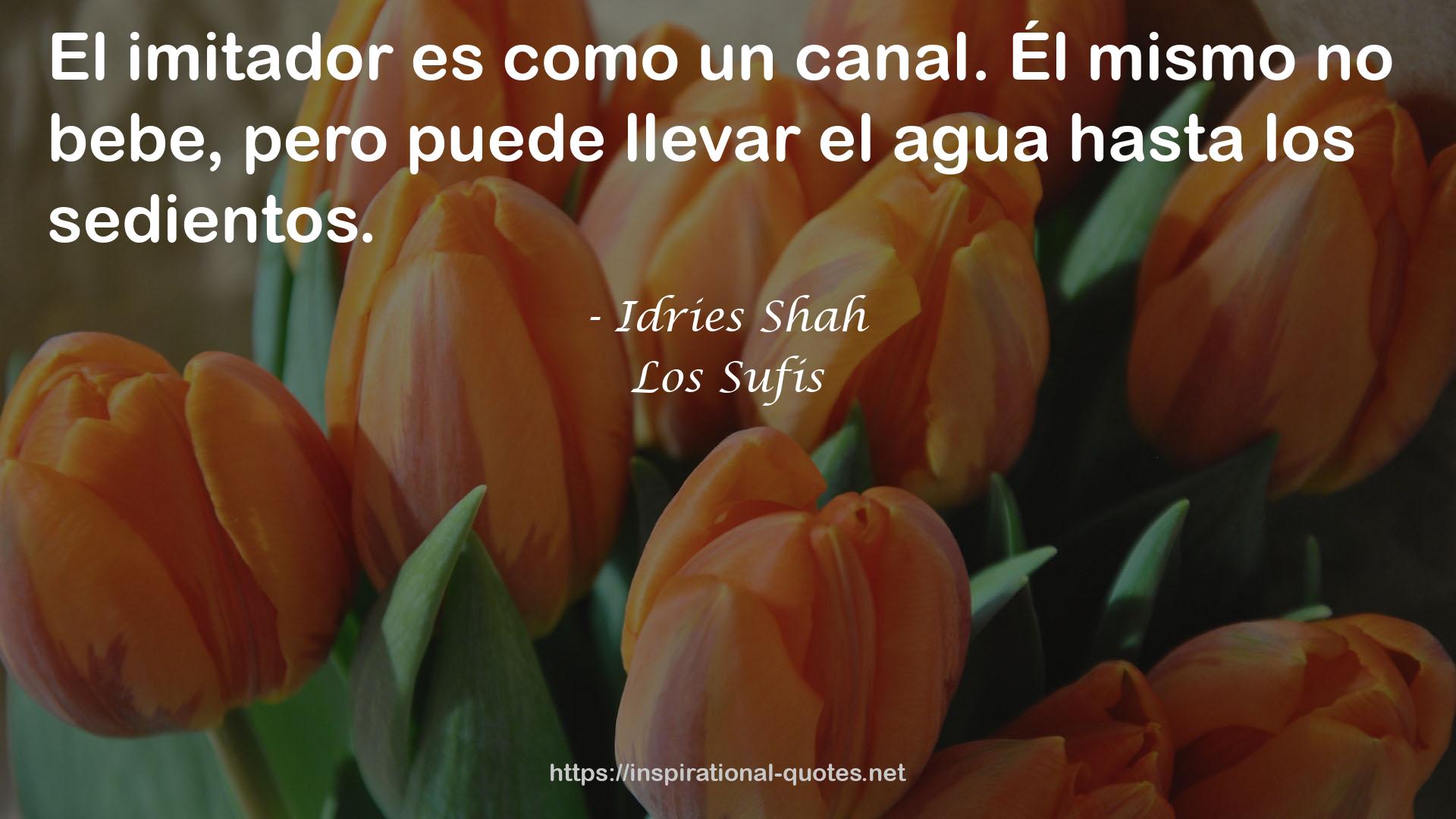 Los Sufis QUOTES