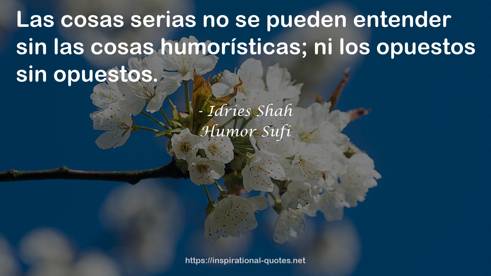 Humor Sufi QUOTES