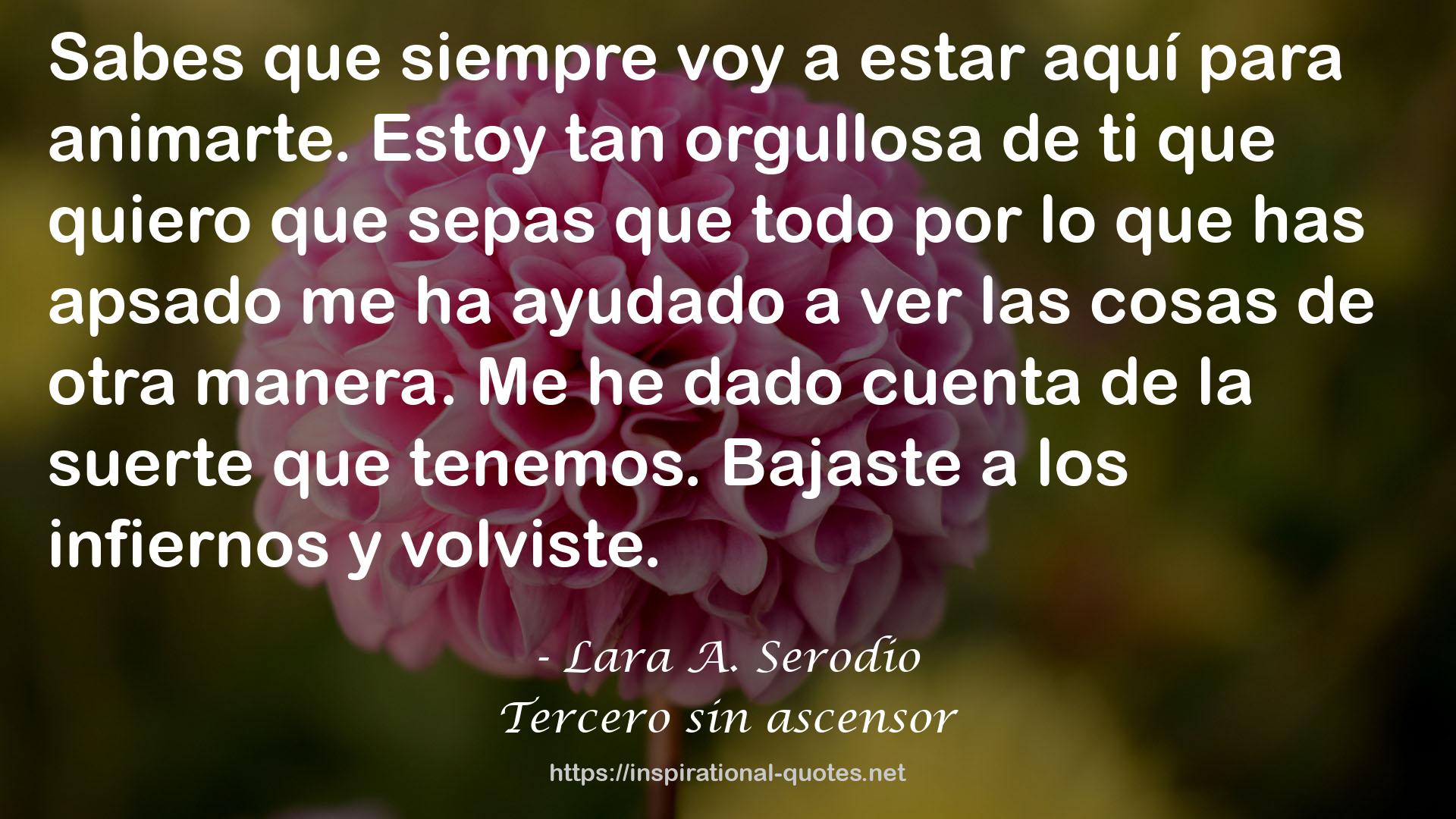 Lara A. Serodio QUOTES