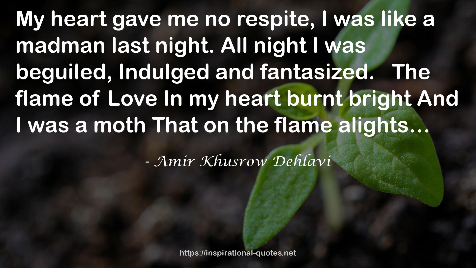 Amir Khusrow Dehlavi QUOTES