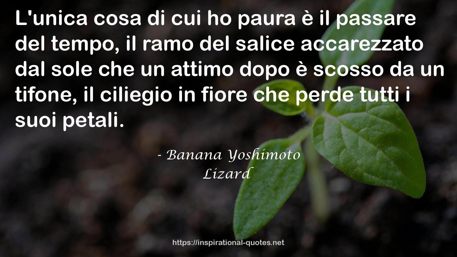 Banana Yoshimoto QUOTES