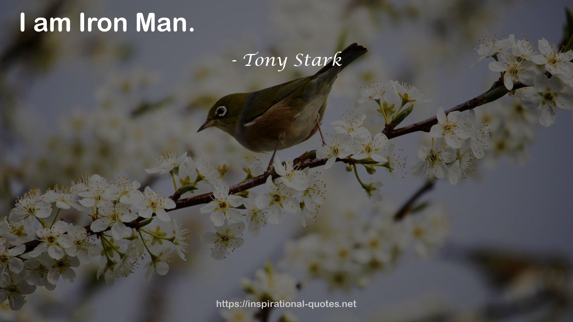 Tony Stark QUOTES