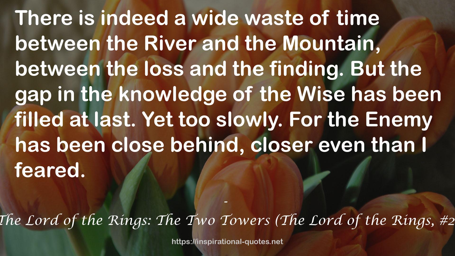 The Lord of the Rings: The Two Towers (The Lord of the Rings, #2) QUOTES