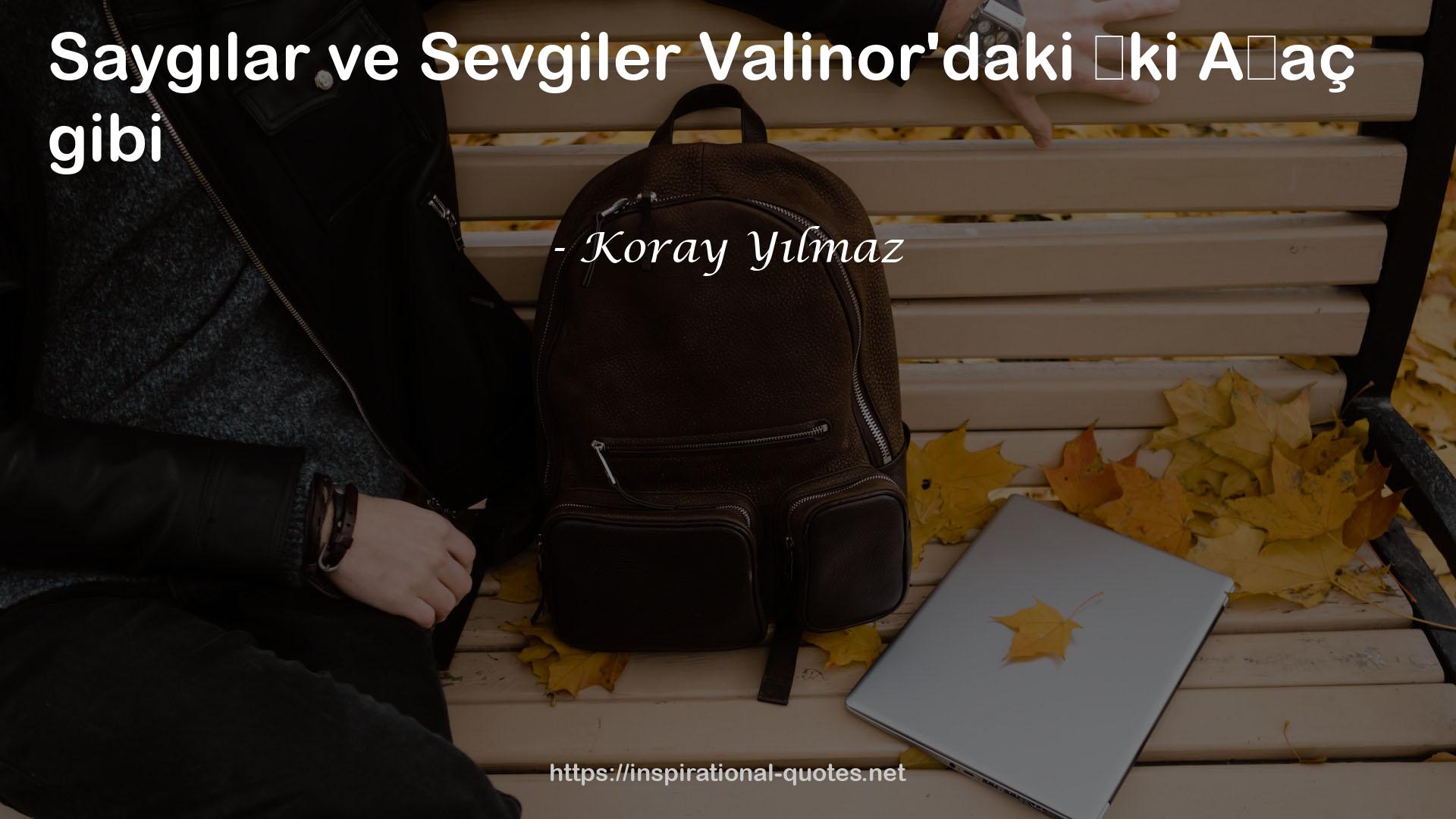 Koray Yılmaz QUOTES