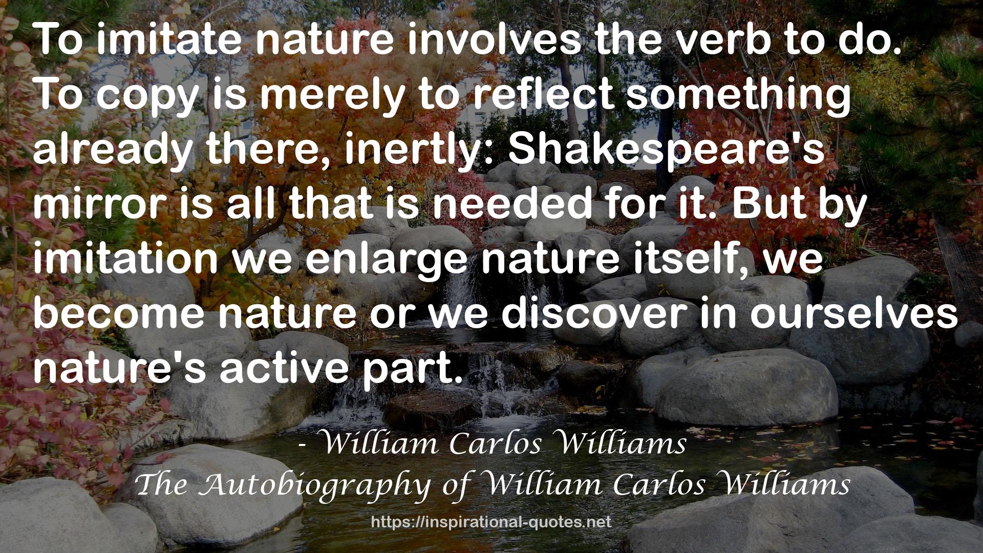 The Autobiography of William Carlos Williams QUOTES
