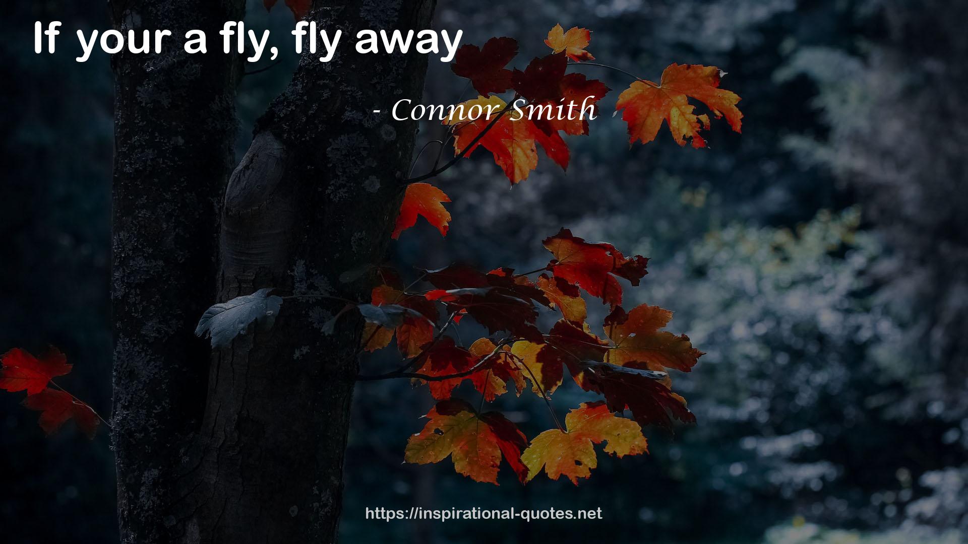 Connor Smith QUOTES