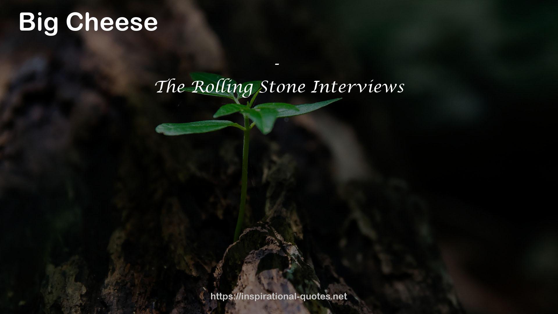 The Rolling Stone Interviews QUOTES