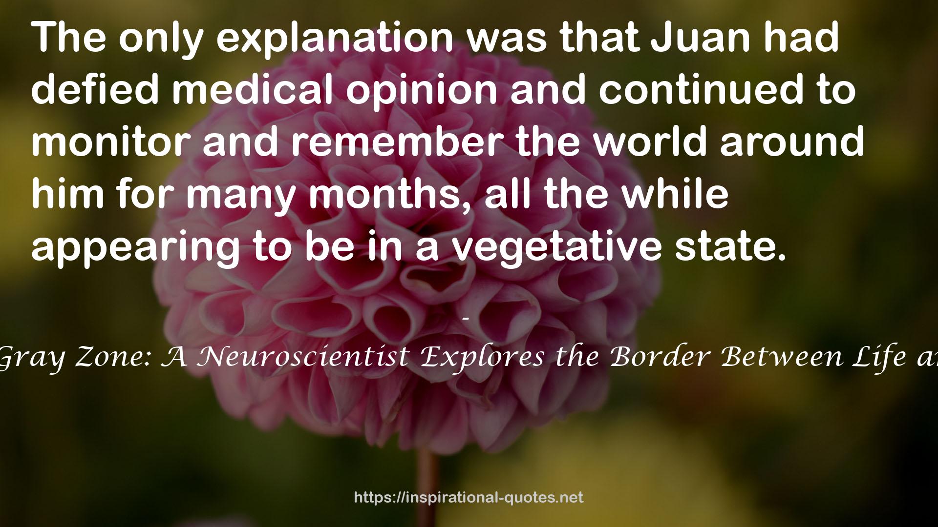 Into the Gray Zone: A Neuroscientist Explores the Border Between Life and Death QUOTES