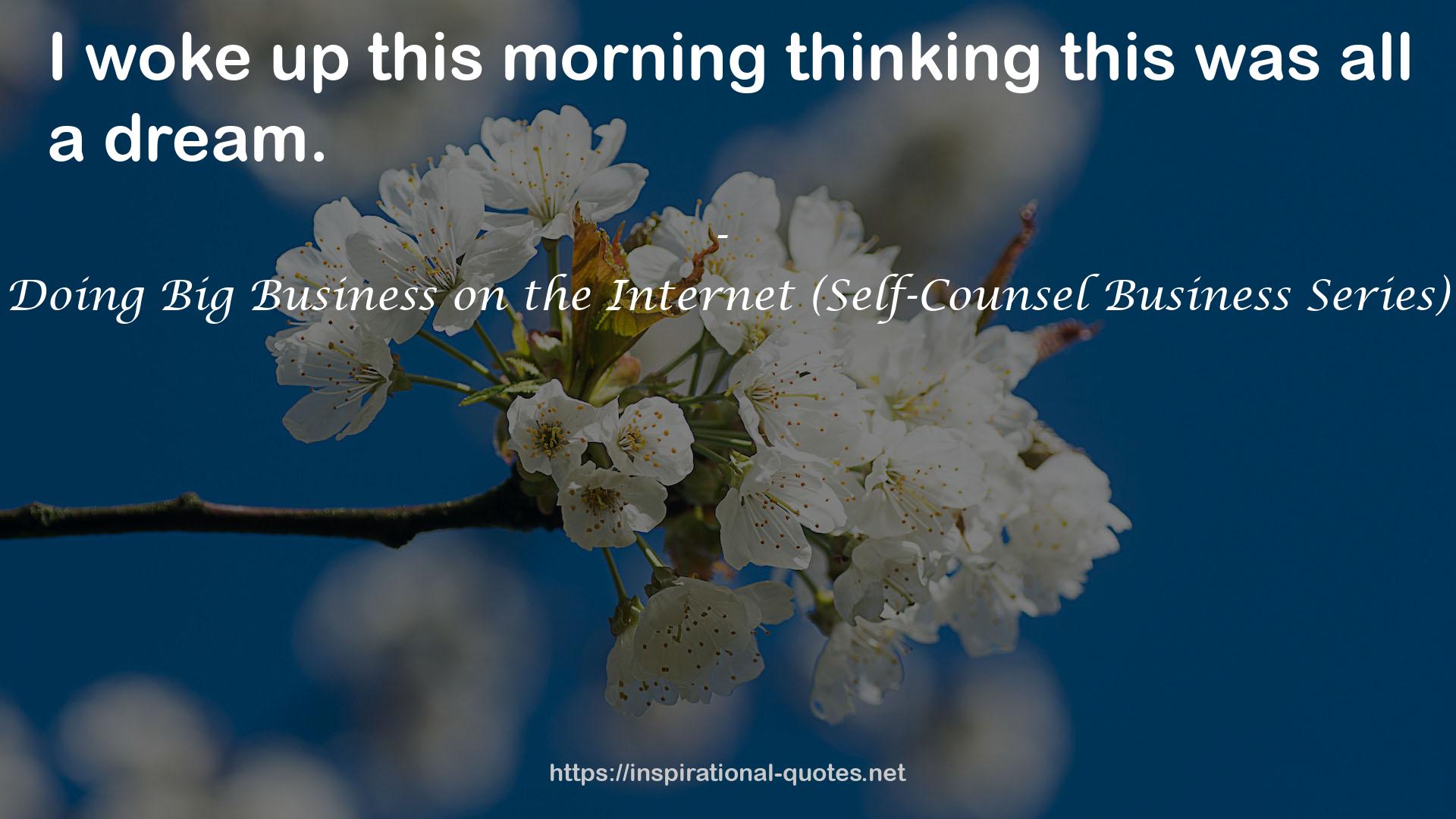 Doing Big Business on the Internet (Self-Counsel Business Series) QUOTES