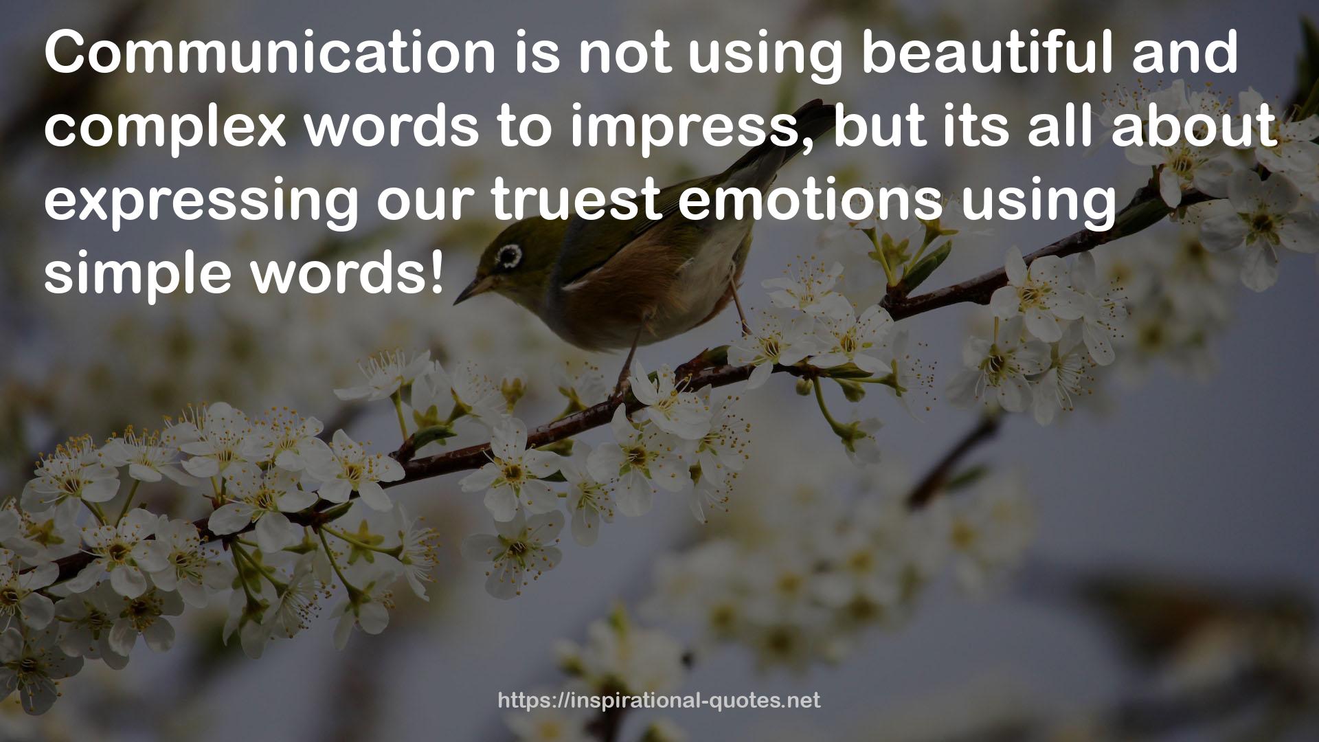 beautiful and complex words  QUOTES