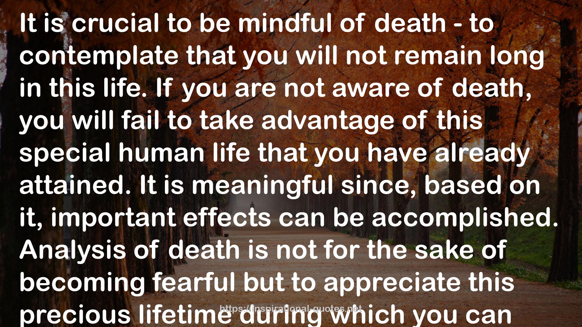 Advice on Dying: And Living a Better Life QUOTES