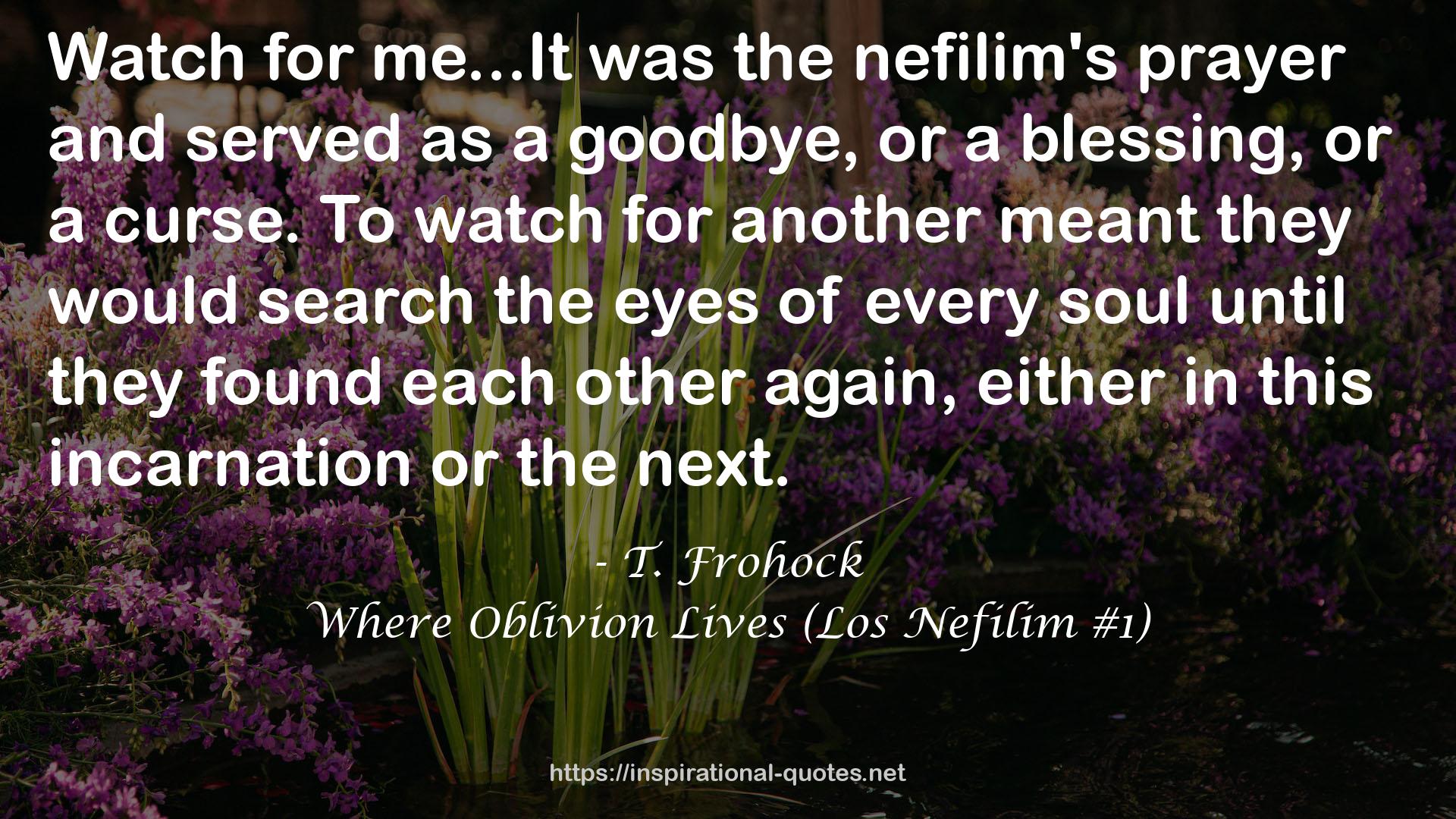 Where Oblivion Lives (Los Nefilim #1) QUOTES