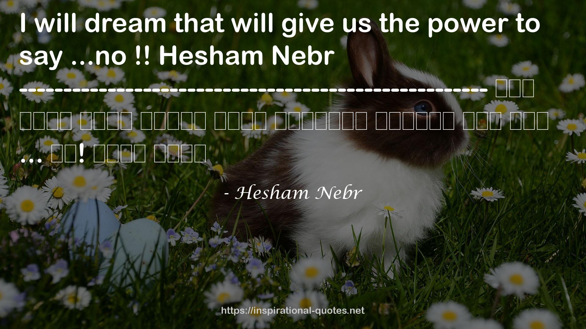 Hesham Nebr QUOTES