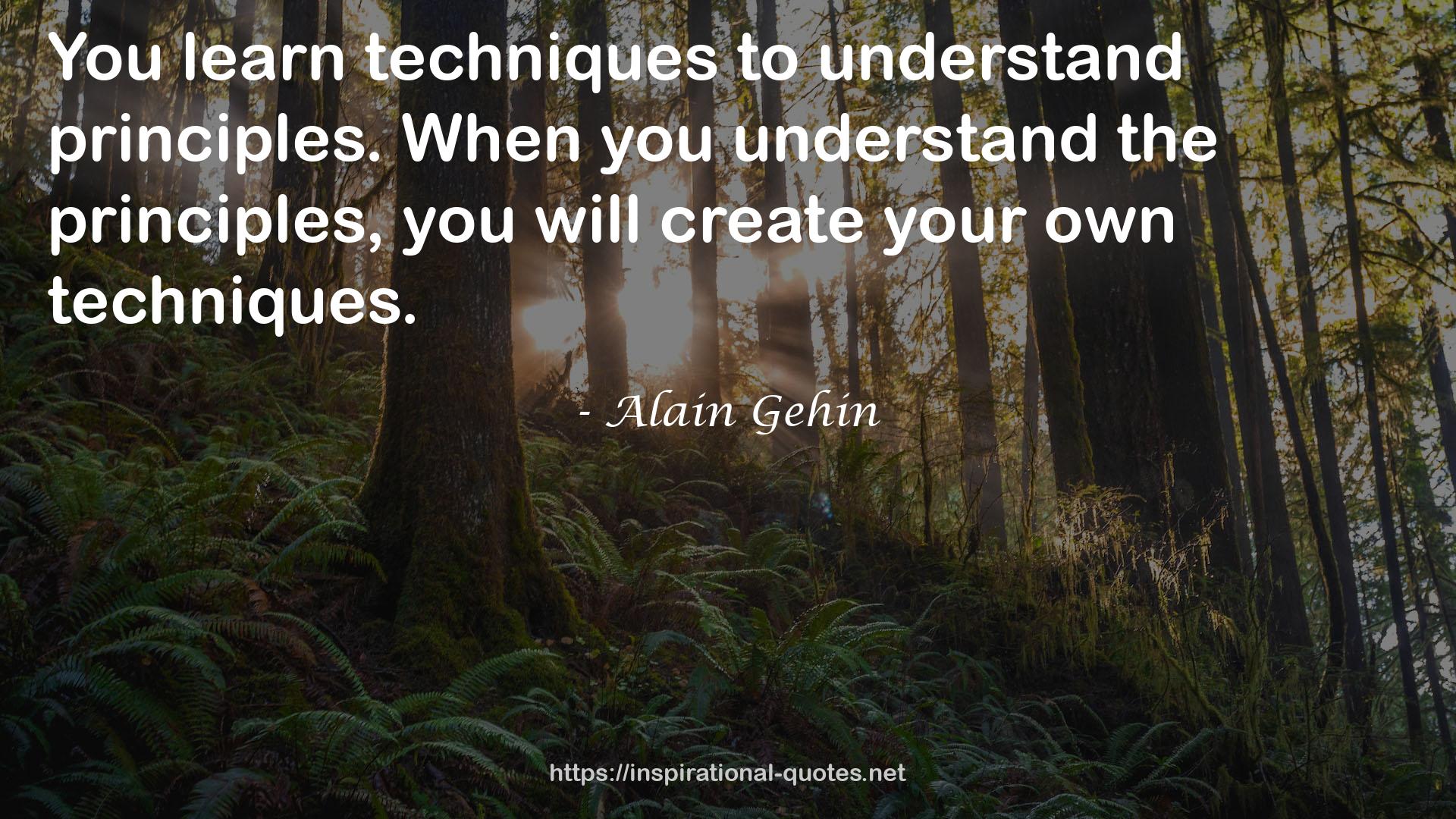 Alain Gehin QUOTES