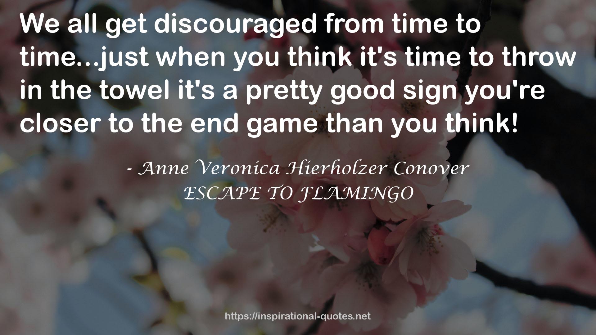 Anne Veronica Hierholzer Conover QUOTES