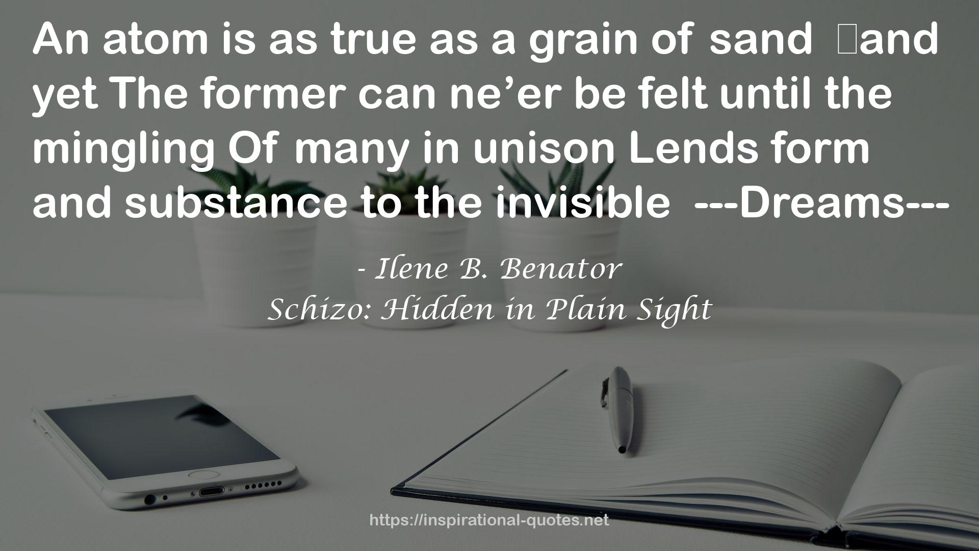 Schizo: Hidden in Plain Sight QUOTES