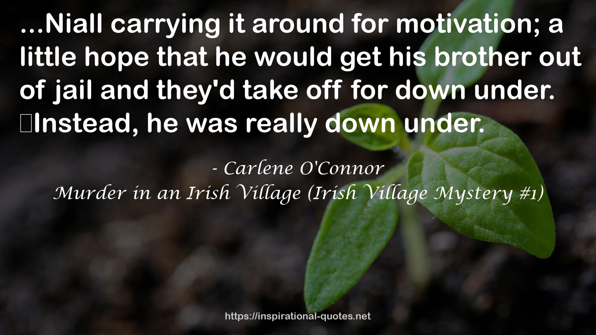 Murder in an Irish Village (Irish Village Mystery #1) QUOTES