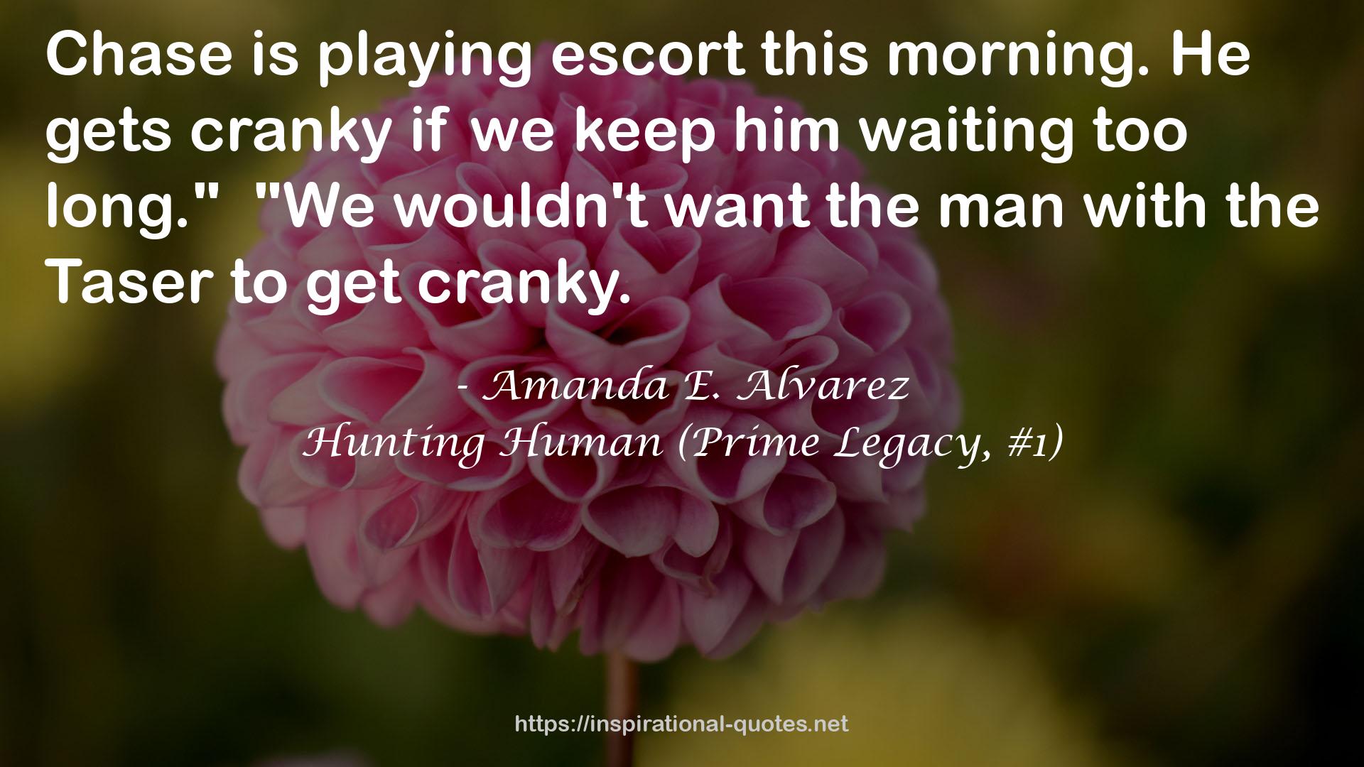 Amanda E. Alvarez QUOTES