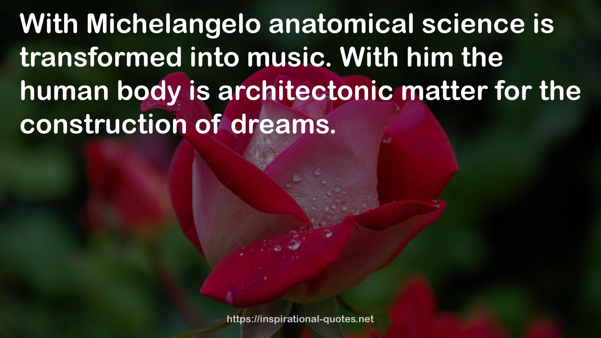 Michelangelo anatomical science  QUOTES