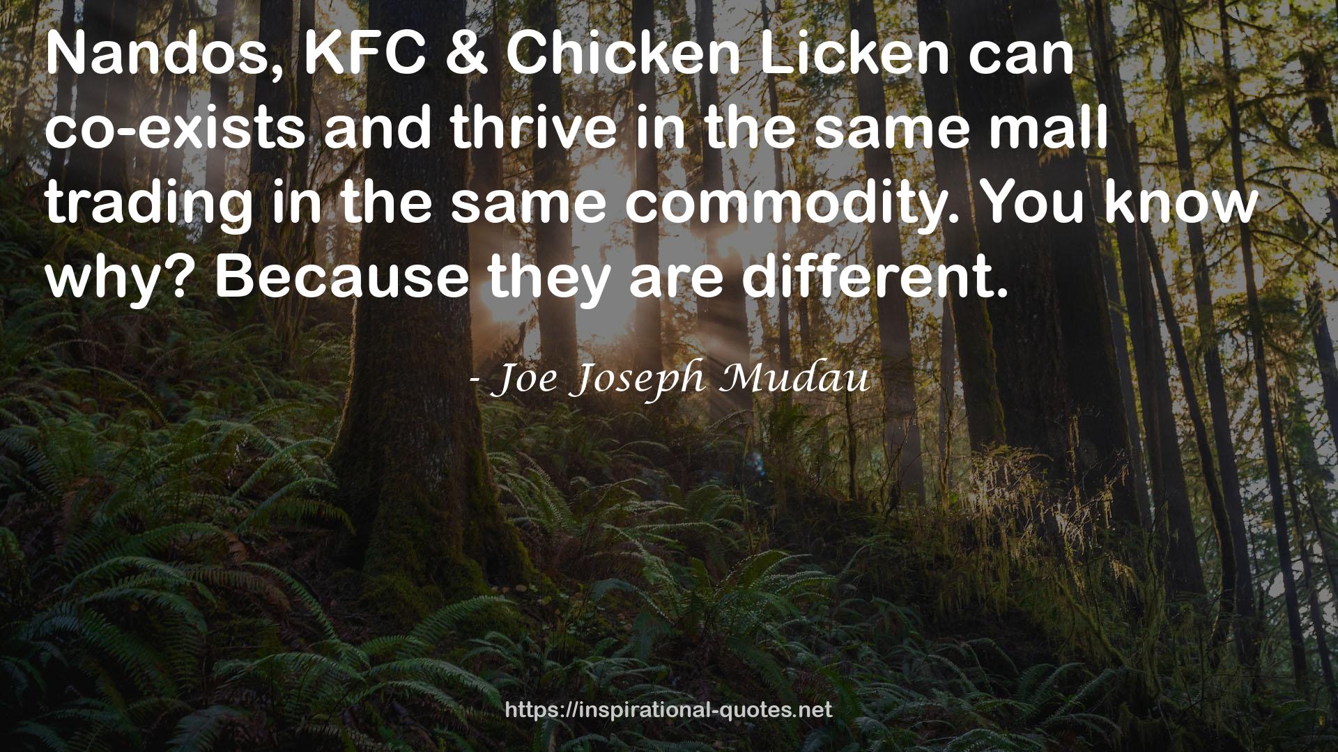 Joe Joseph Mudau QUOTES