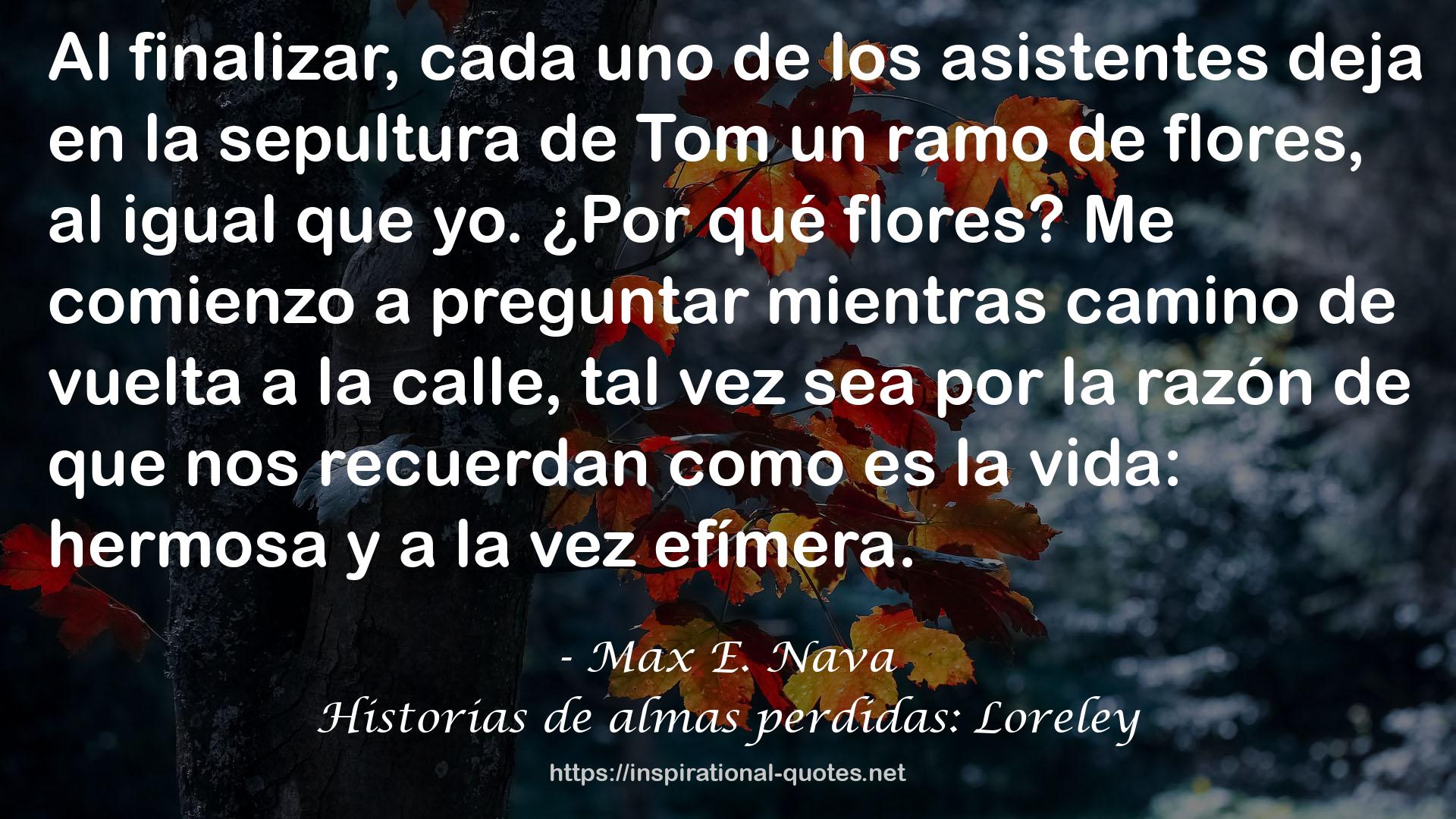 Max E. Nava QUOTES