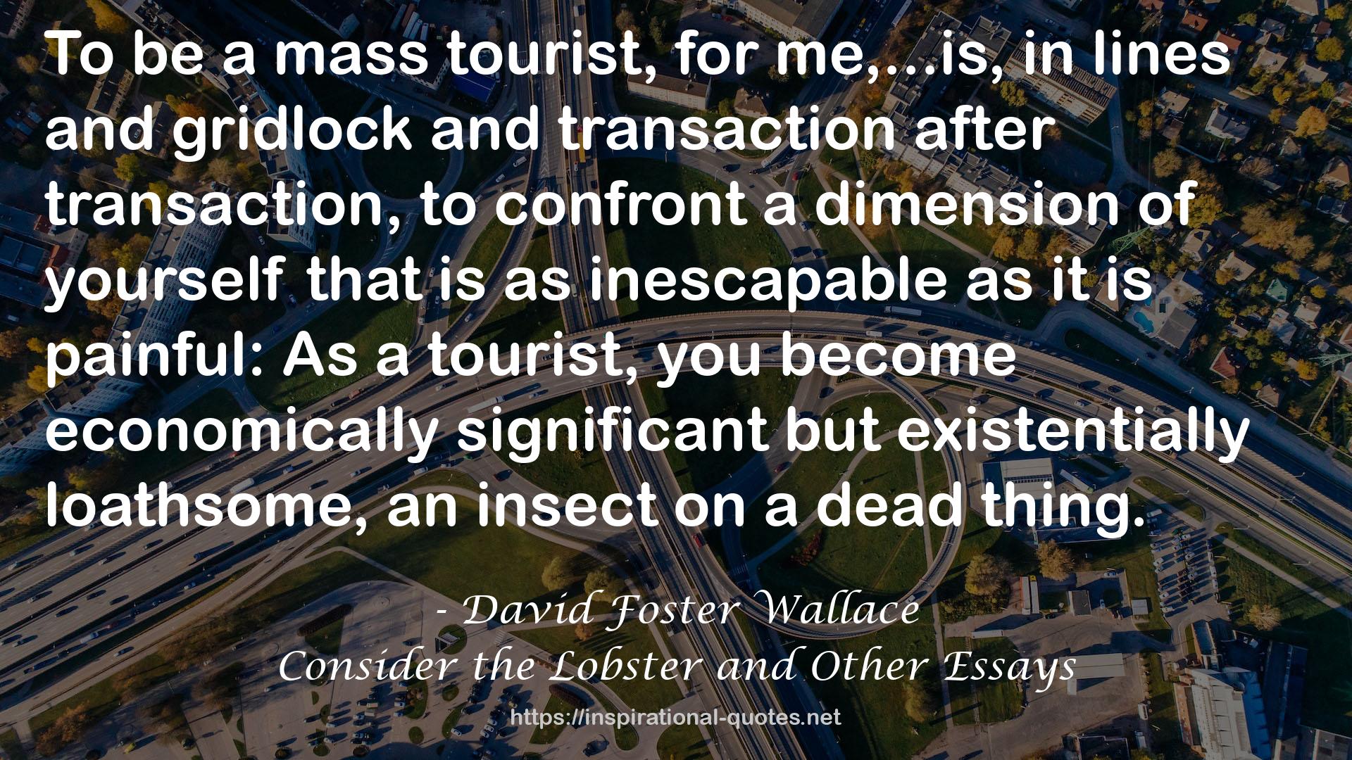 Consider the Lobster and Other Essays QUOTES