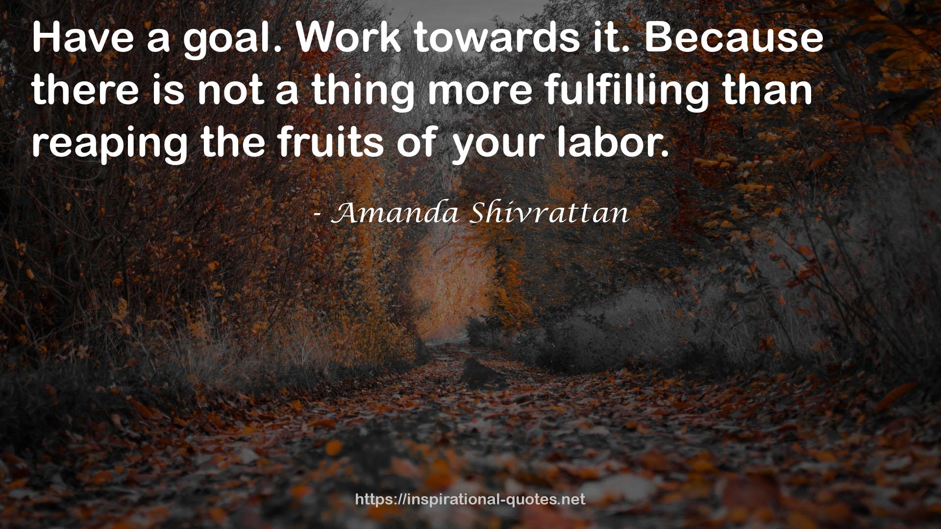 Amanda Shivrattan QUOTES