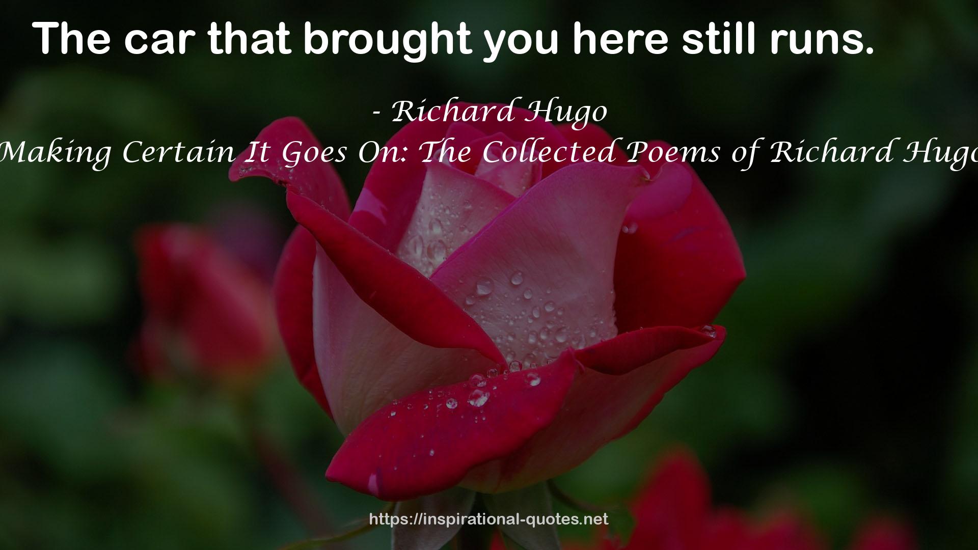 Making Certain It Goes On: The Collected Poems of Richard Hugo QUOTES