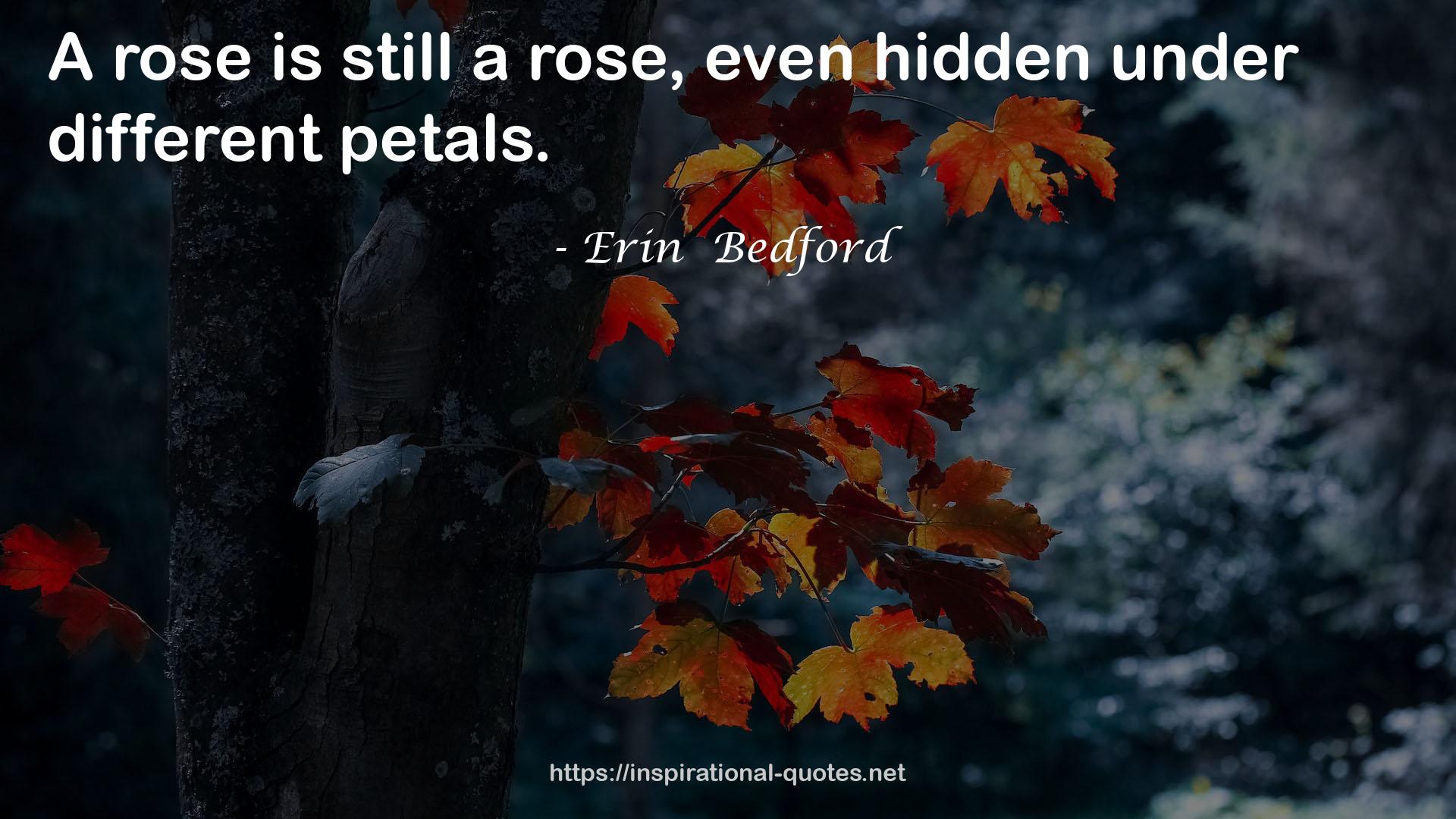 Erin  Bedford QUOTES