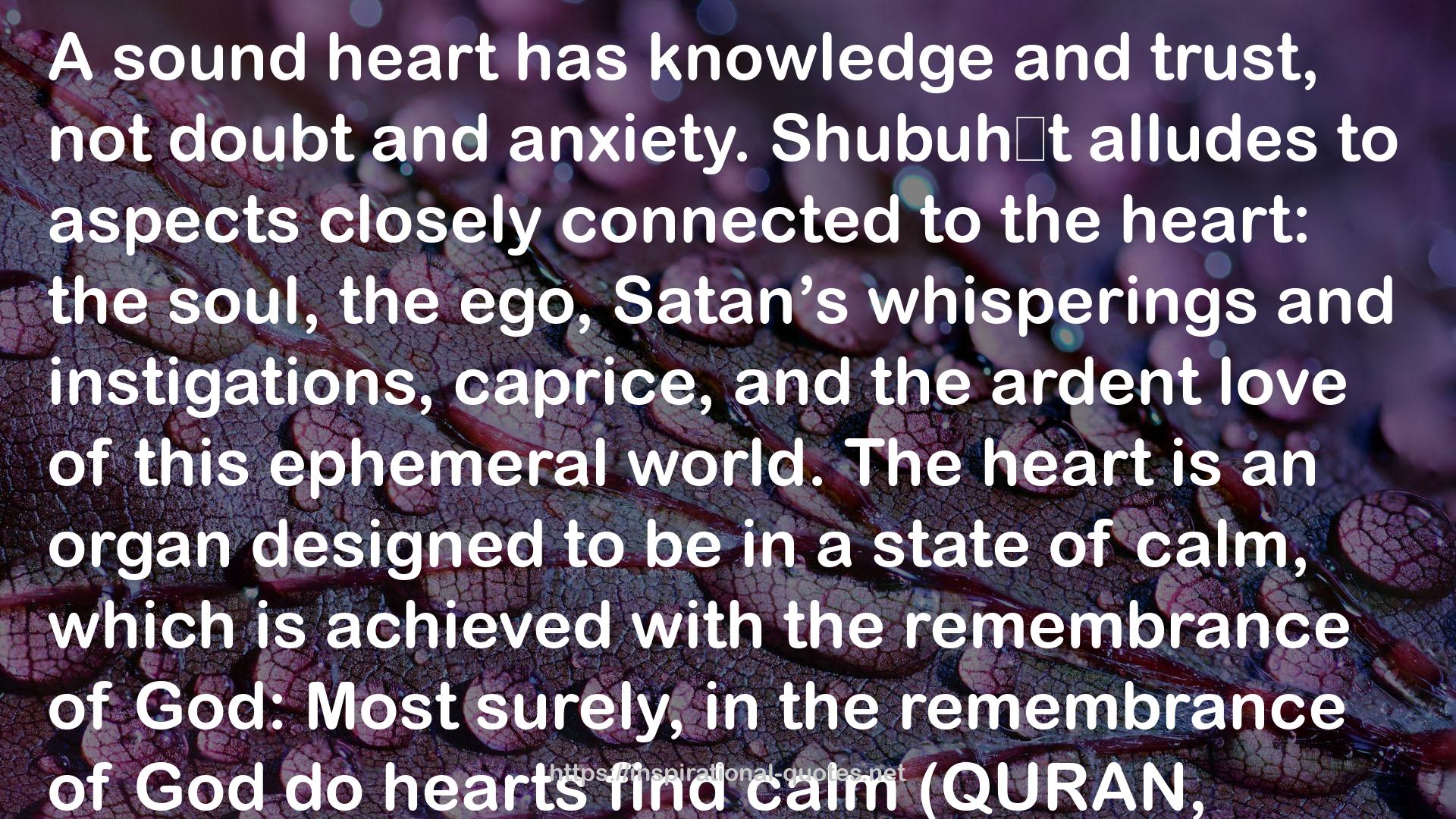 Purification of the Heart: Signs, Symptoms and Cures of the Spiritual Diseases of the Heart QUOTES