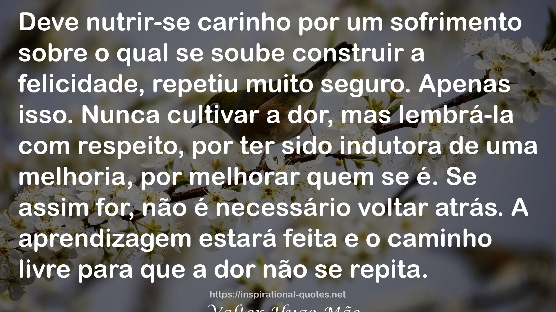 Valter Hugo Mãe QUOTES