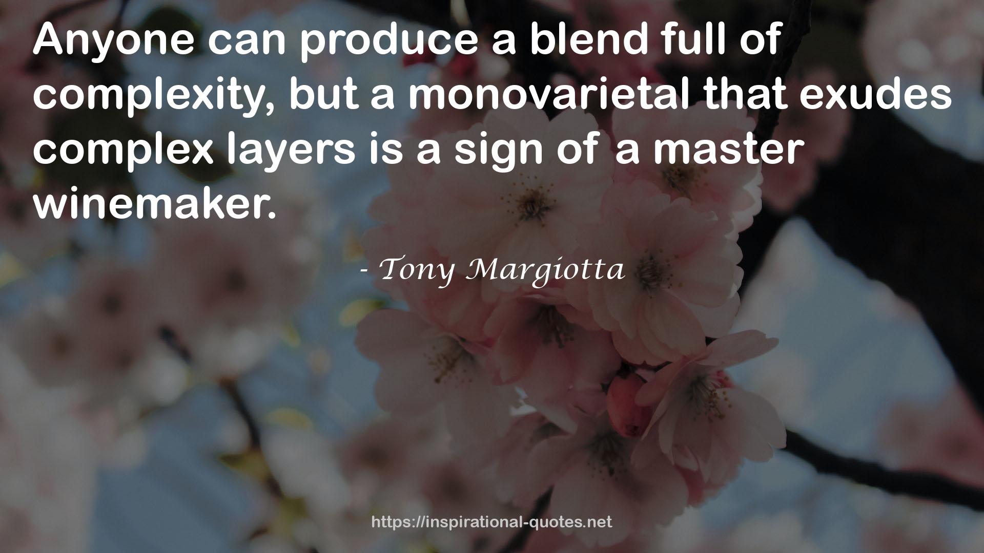 Tony Margiotta QUOTES