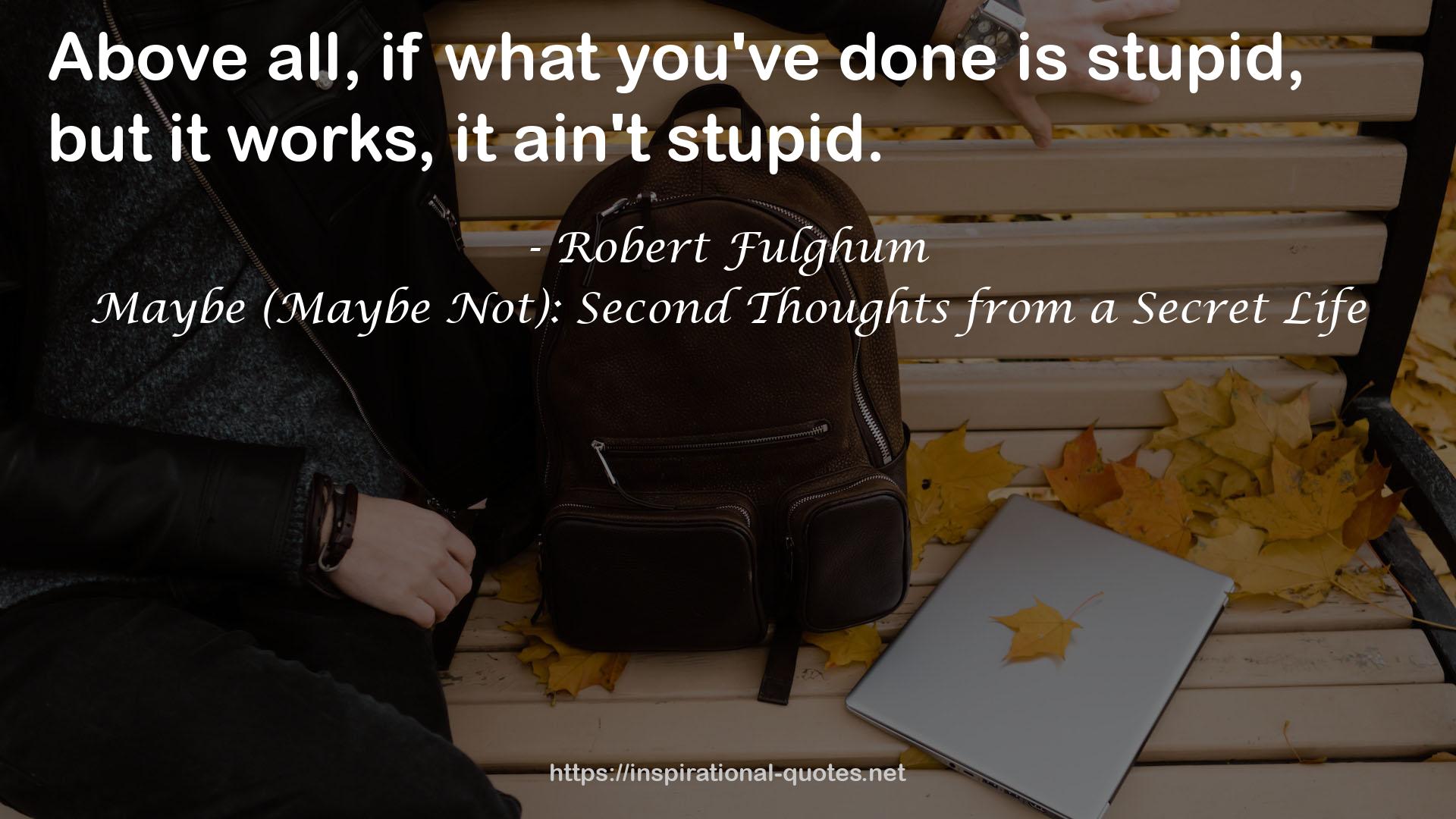 Maybe (Maybe Not): Second Thoughts from a Secret Life QUOTES