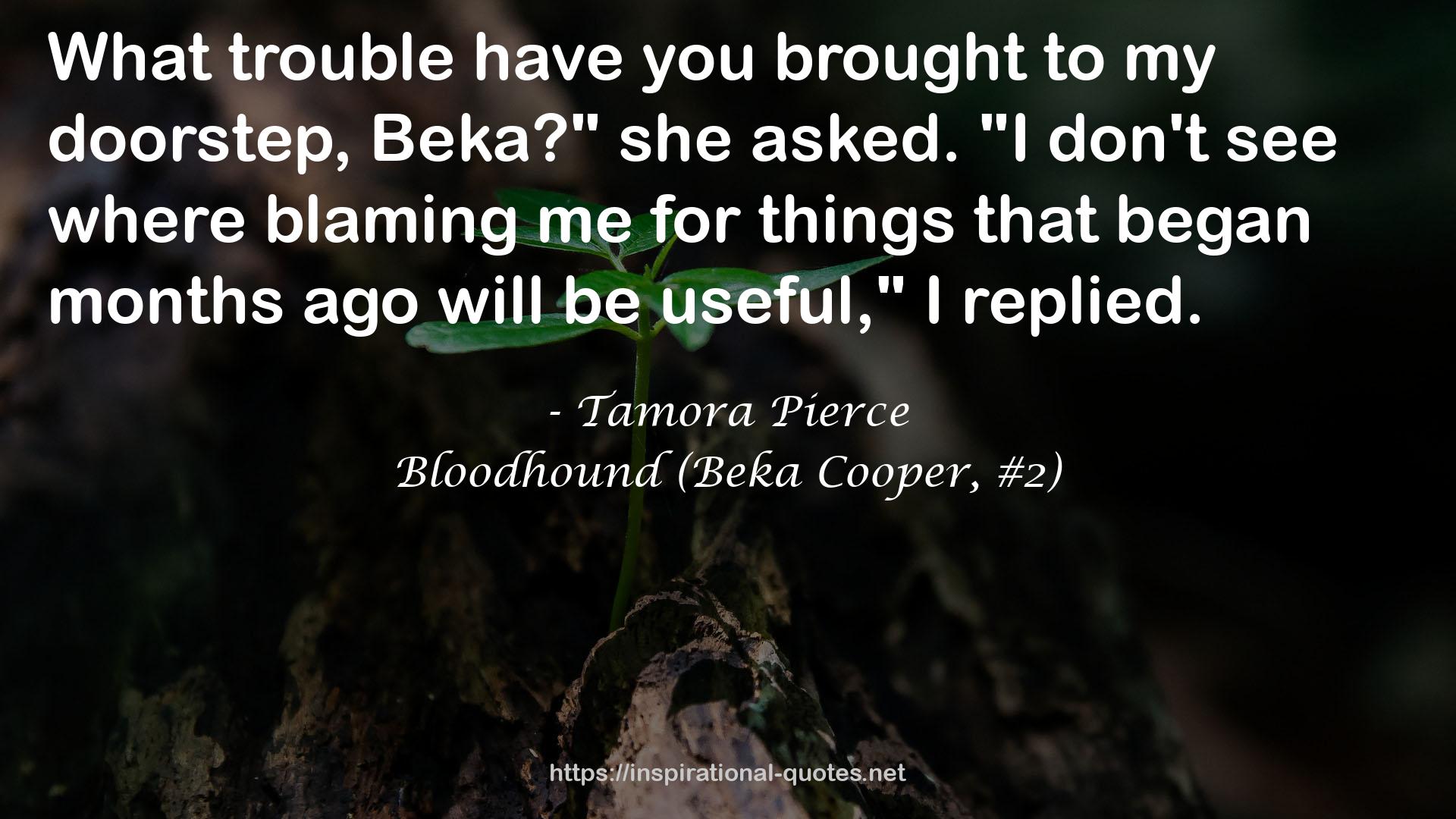 Bloodhound (Beka Cooper, #2) QUOTES