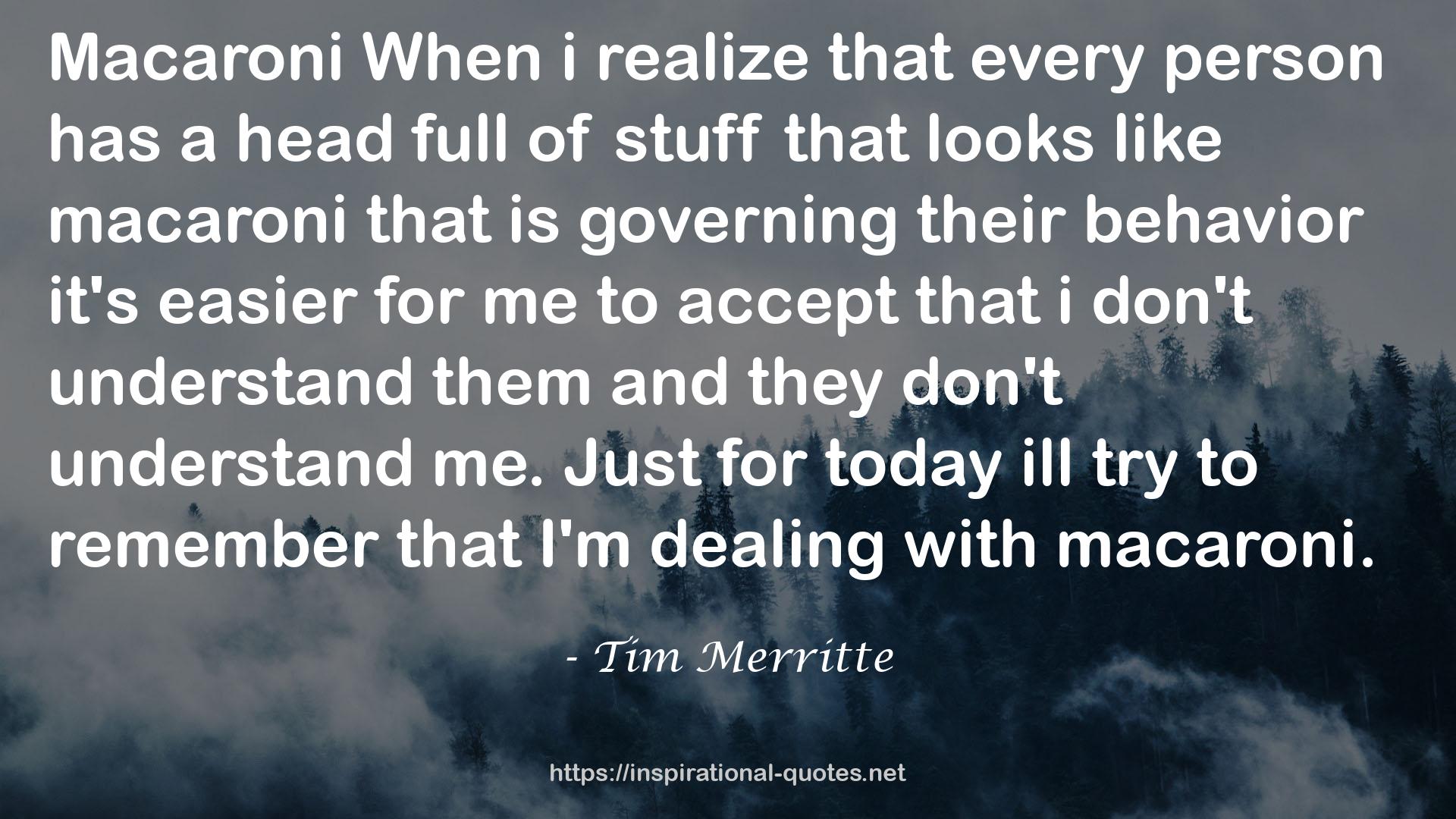 Tim Merritte QUOTES