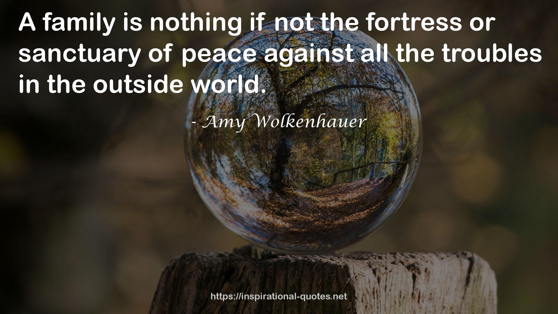 Amy Wolkenhauer QUOTES