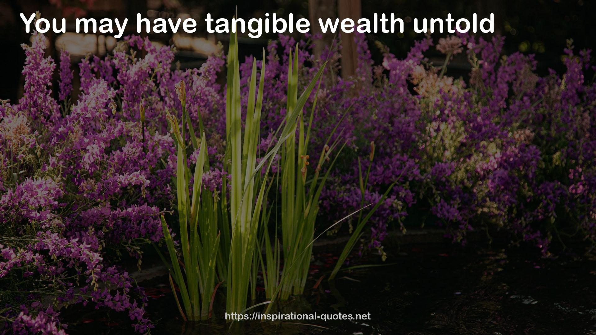 tangible wealth  QUOTES