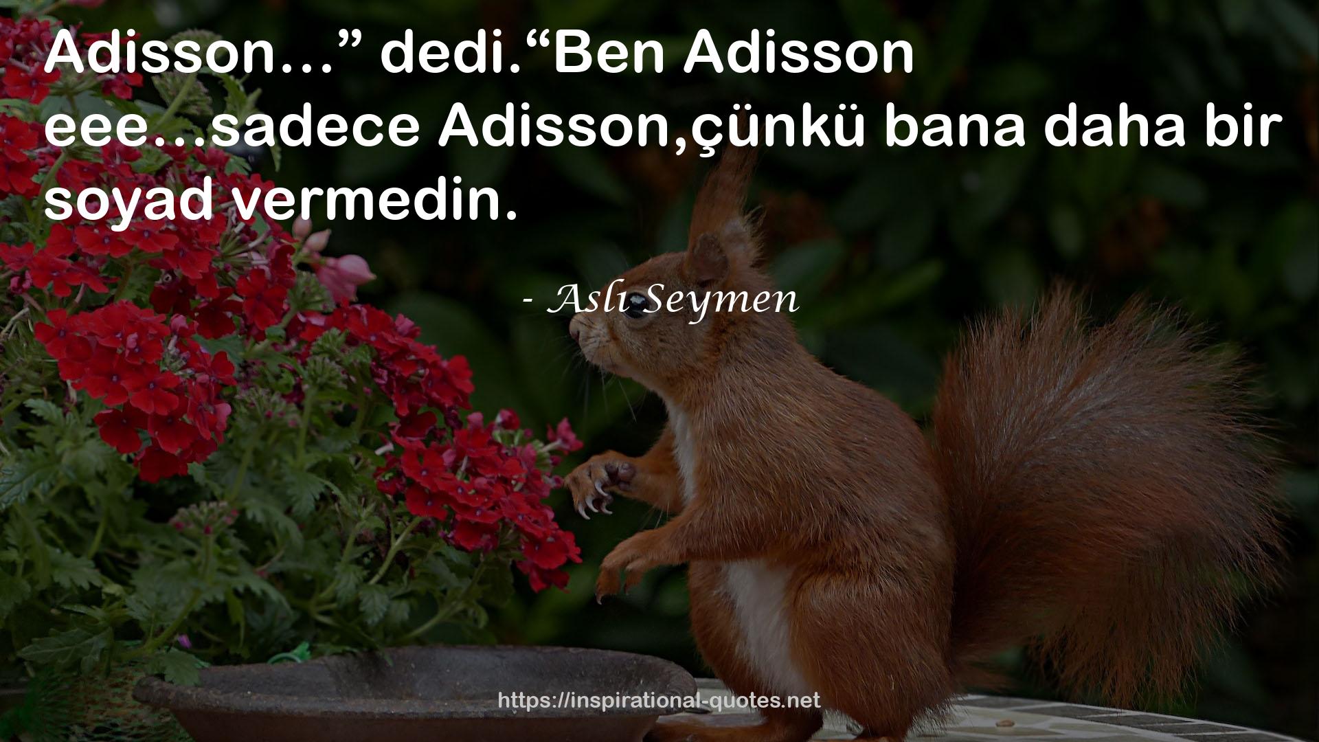 Aslı Seymen QUOTES