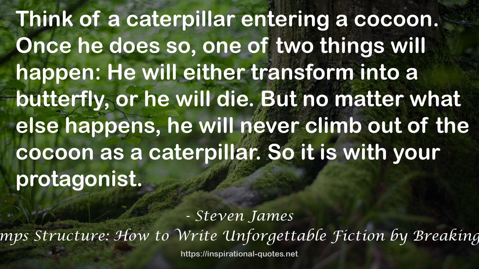 Story Trumps Structure: How to Write Unforgettable Fiction by Breaking the Rules QUOTES