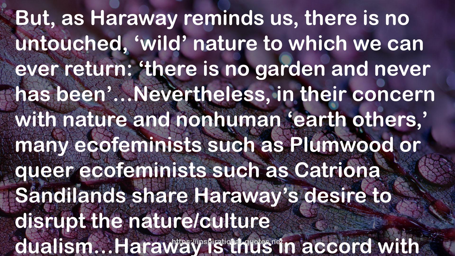 Beyond the Cyborg: Adventures with Donna Haraway QUOTES