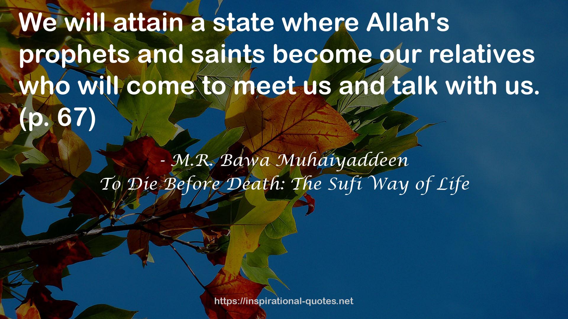 To Die Before Death: The Sufi Way of Life QUOTES