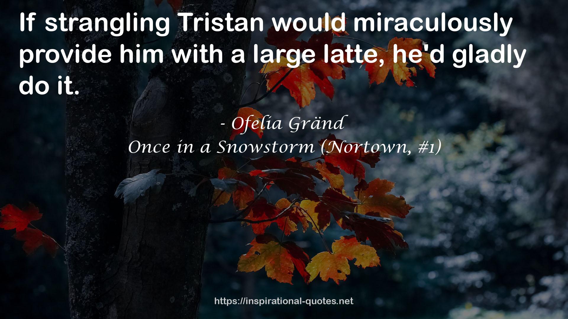 Once in a Snowstorm (Nortown, #1) QUOTES