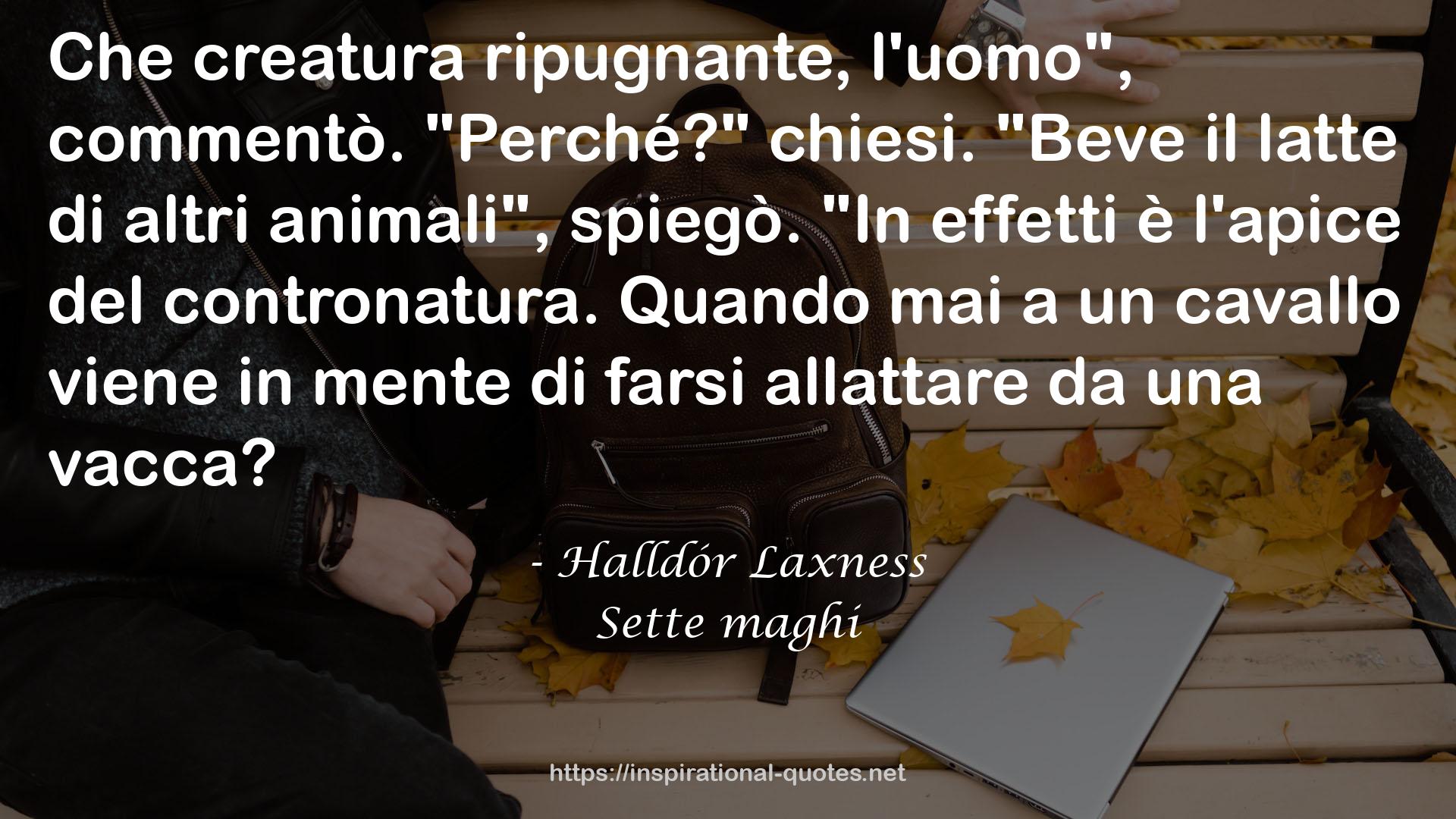 Sette maghi QUOTES