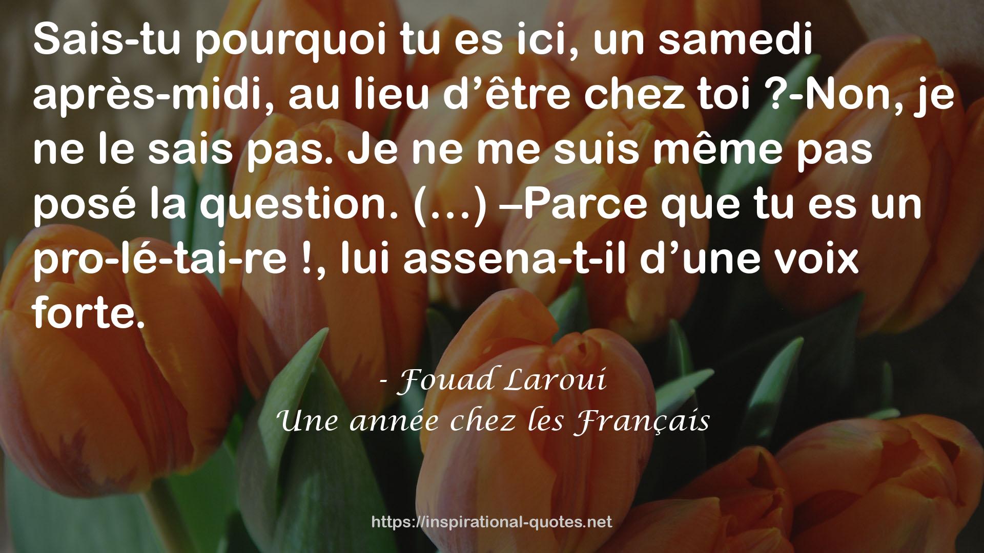 Fouad Laroui QUOTES