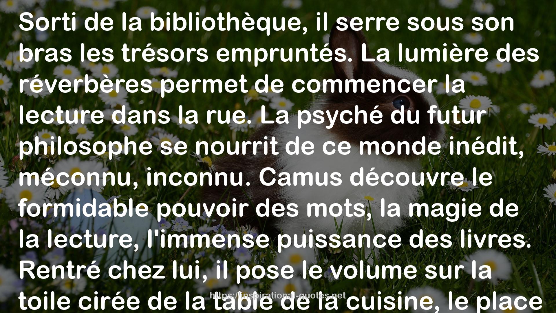 L'ordre libertaire: la vie philosophique d'Albert Camus QUOTES