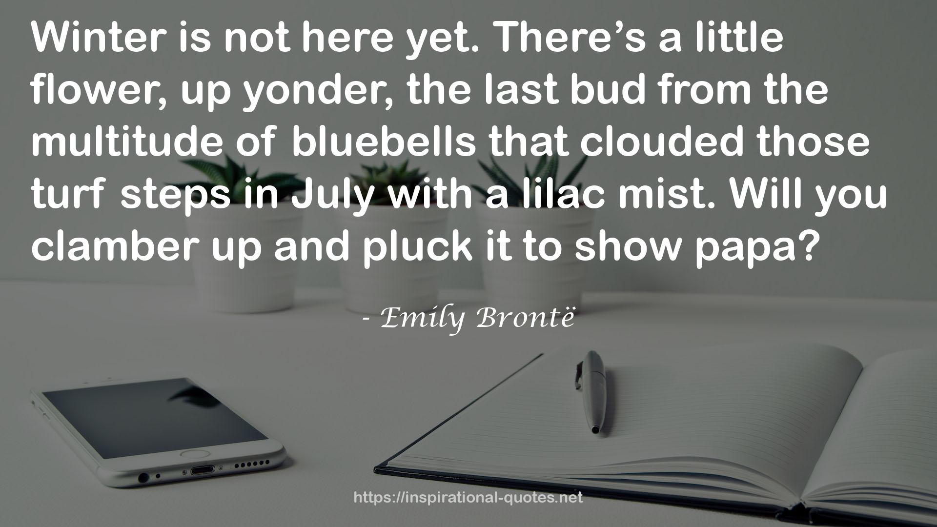 Emily Brontë QUOTES