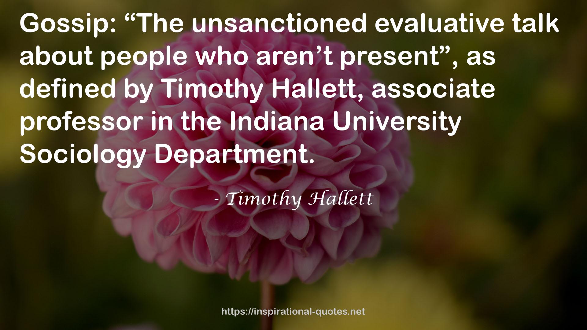 Timothy Hallett QUOTES