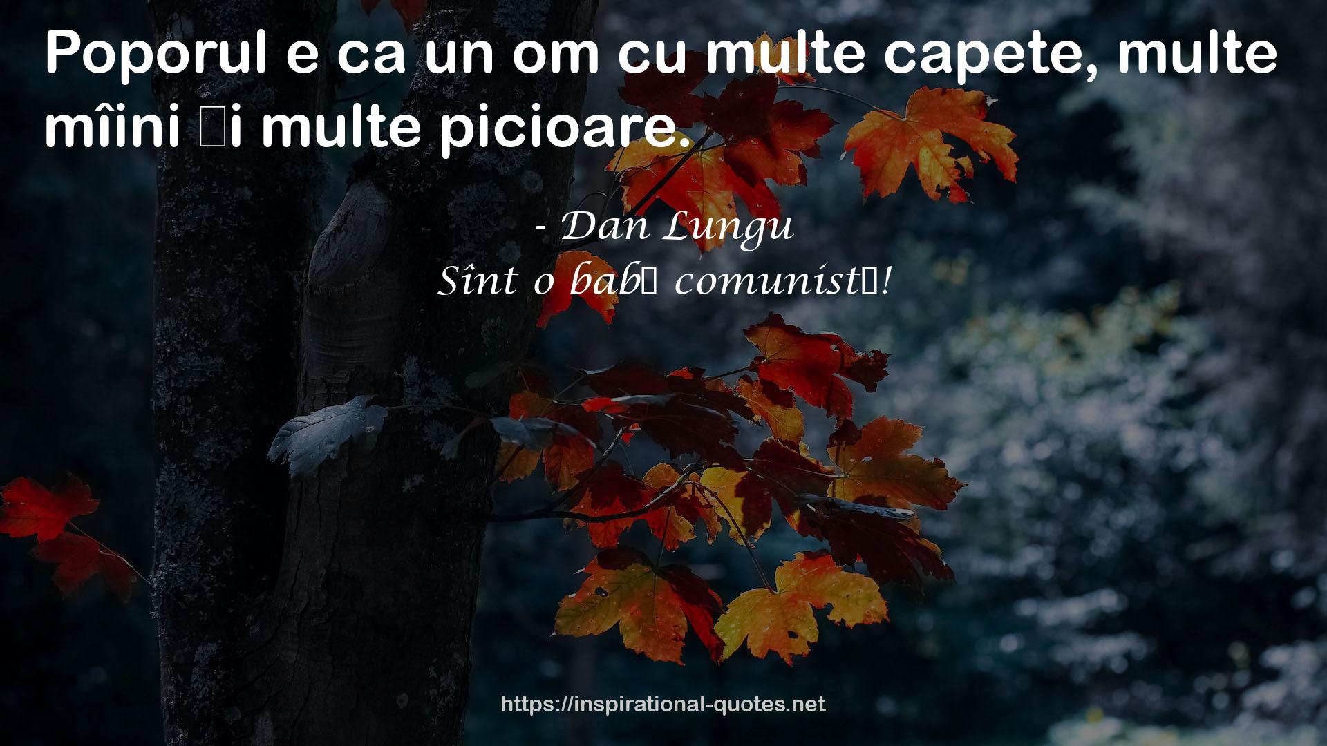 Sînt o babă comunistă! QUOTES